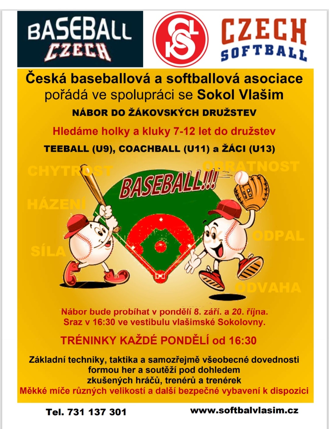 Nábor na baseball Vlašim