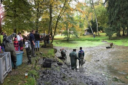 Podzimní výlov v Odlochovicích