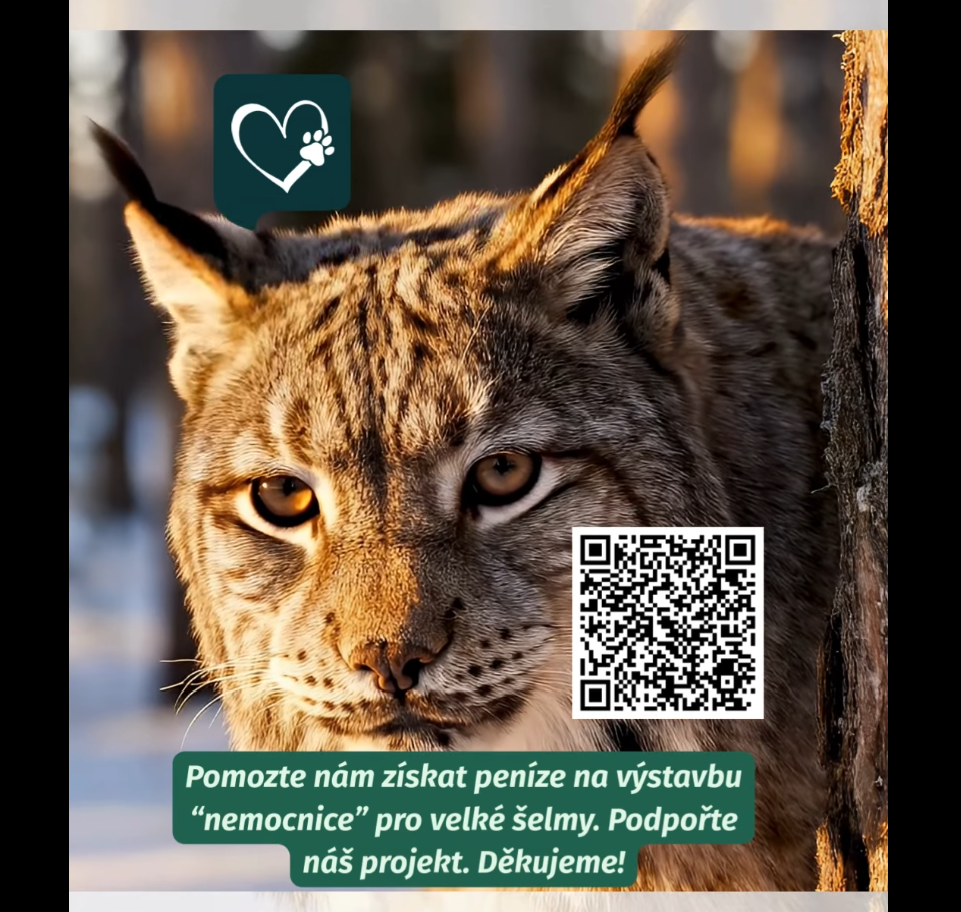 Sn&iacute;mek obrazovky 2026-01-26 085242.png