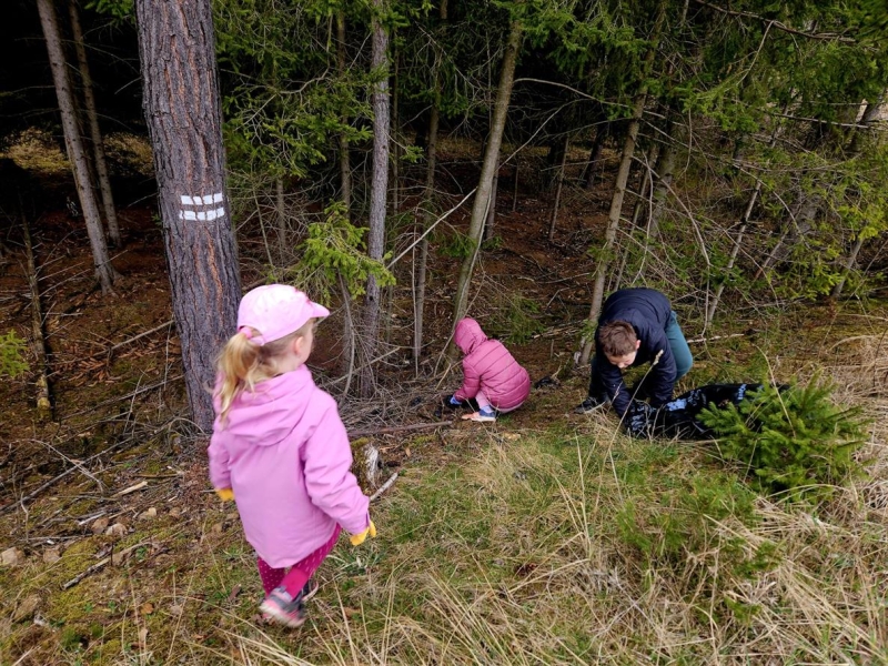 Image 8