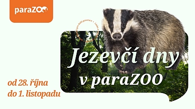 Jezevčí dny v paraZOO