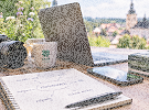 ČSOP Vlašim hledá posilu do marketingu a komunikace. Nabízí pestrou práci i prostor pro vlastní nápady