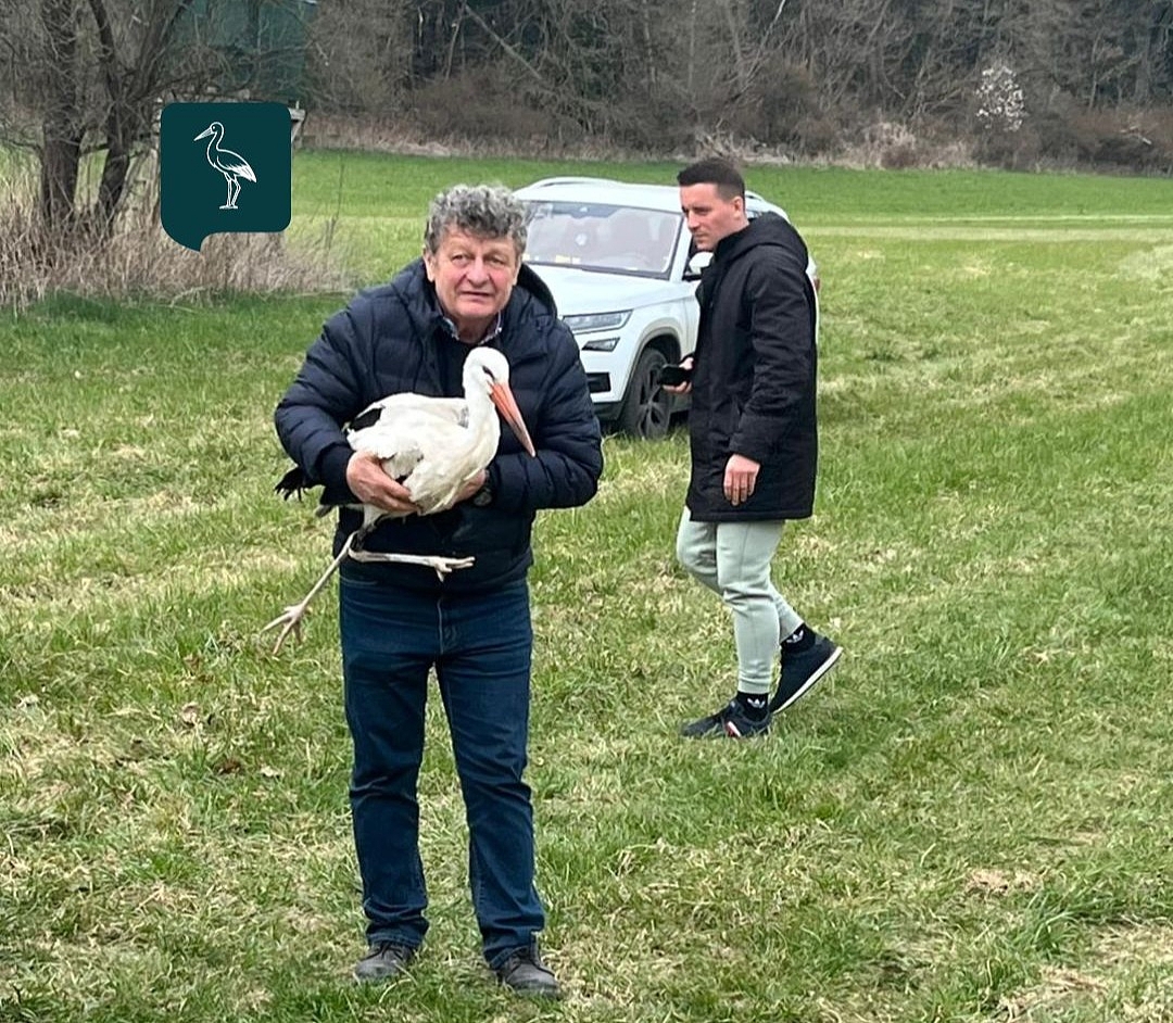 Fotografie 1