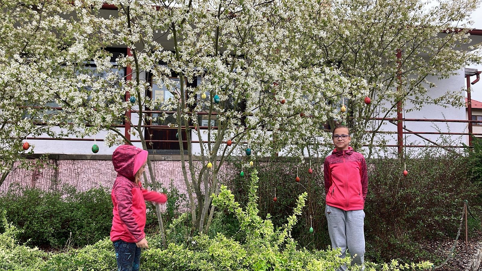 Fotografie 1