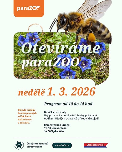 Fotografie 1