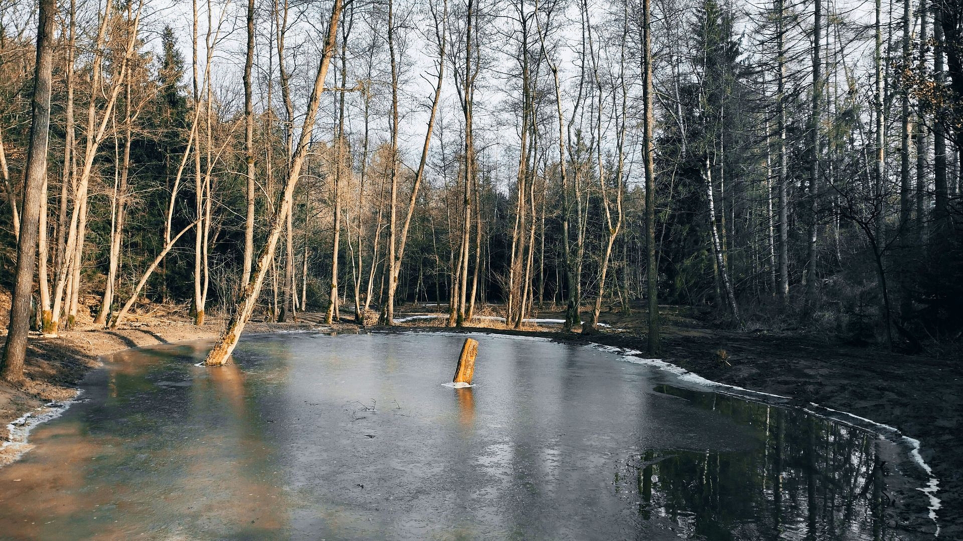 Fotografie 1