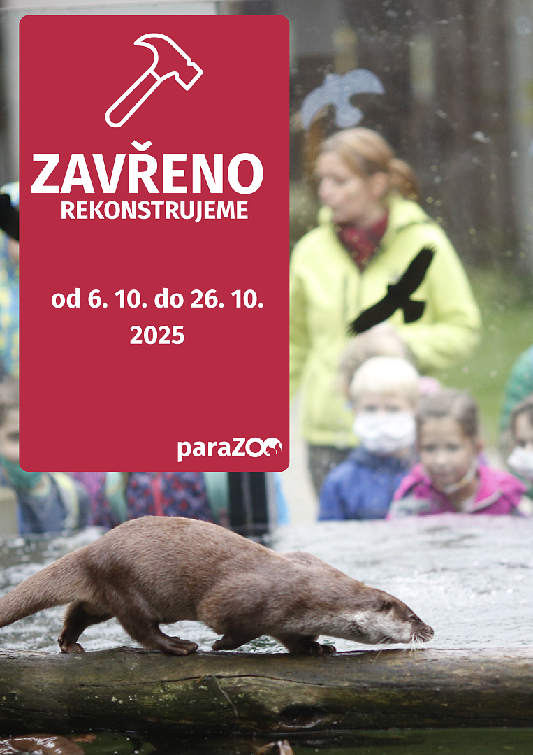 Fotografie 1