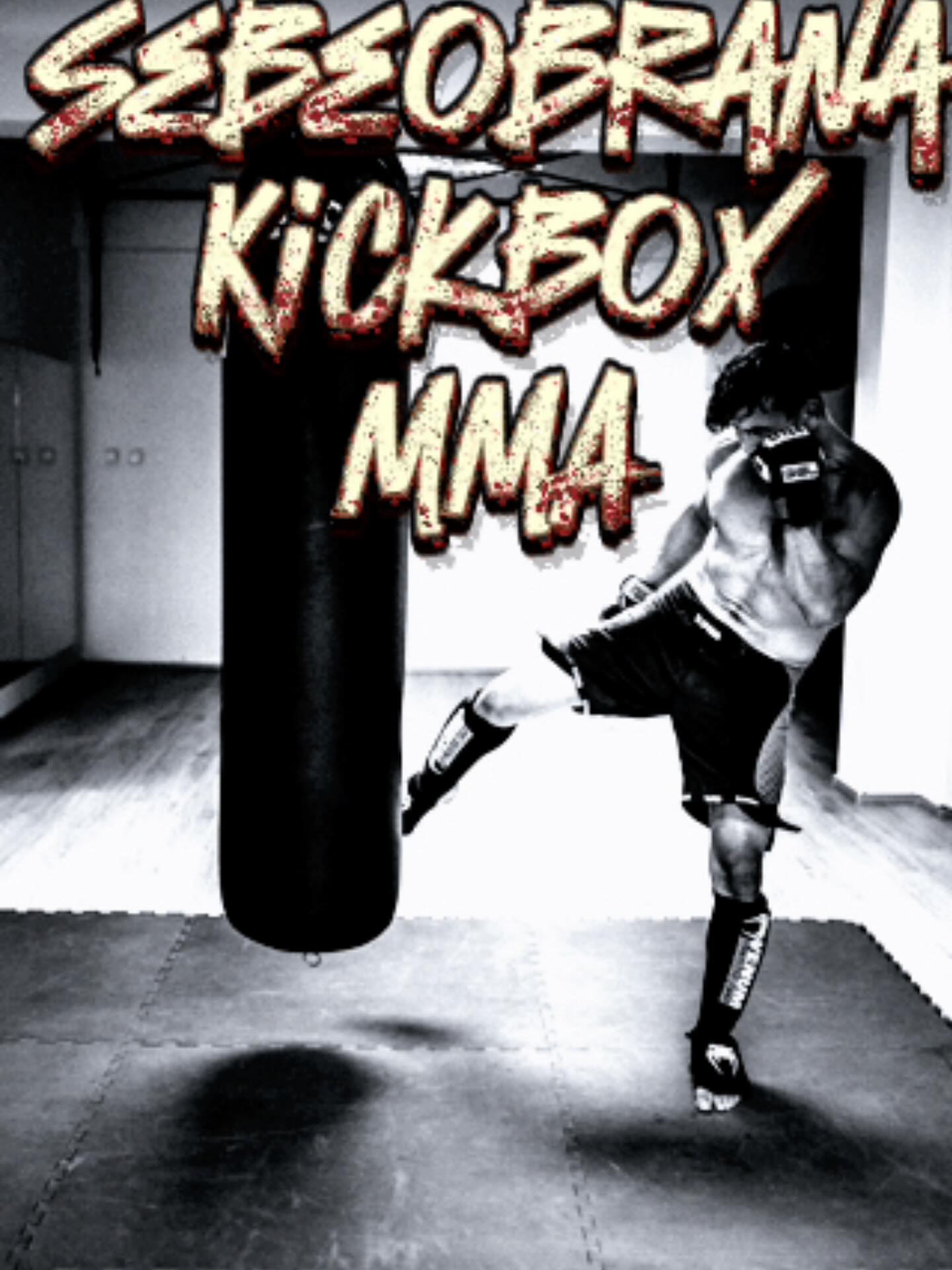 Kick box a MMA Vlašim